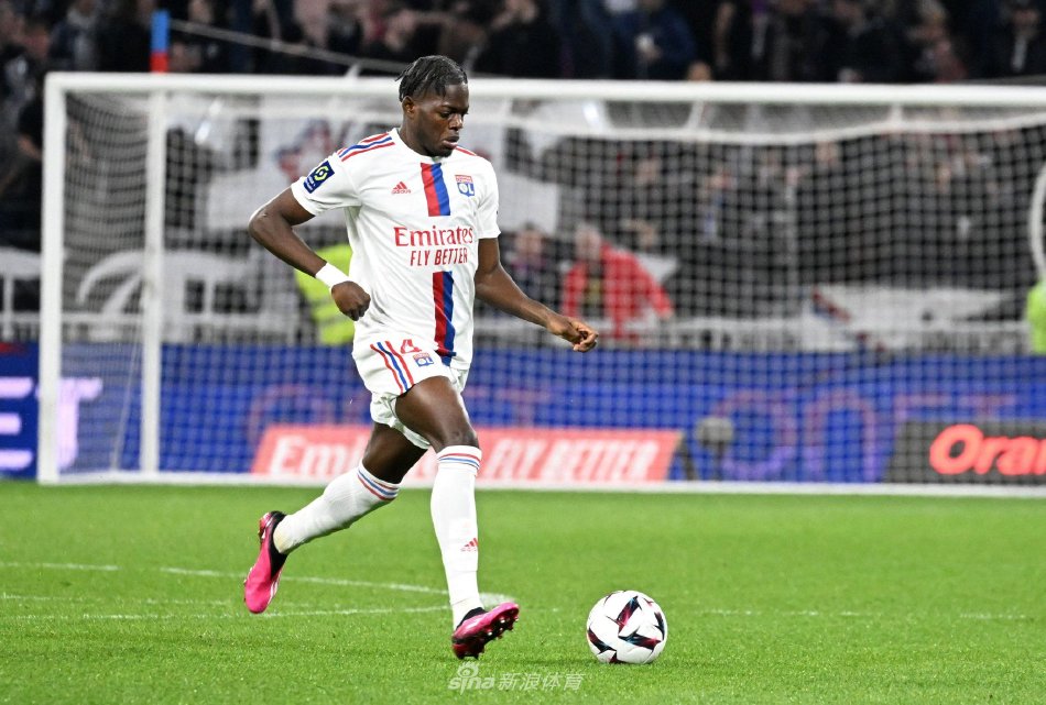 这不仅展示 这不仅展示